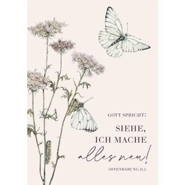 Motiv Schmetterling 2