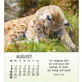 Stimmungsbild zu Meine kleinen Freunde 2026 - Tischkalender