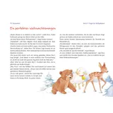 Stimmungsbild zu Ein Weihnachtsgeschenk für Rica - Folien Adventskalender