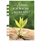 Stimmungsbild zu Tage voller Licht 2026