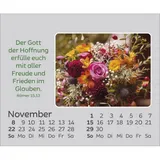 Stimmungsbild zu Freude für jeden Tag 2026 - Mini-Aufstellkalender