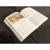 Stimmungsbild zu Das Bibellesebuch zu 1. Mose