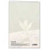 Stimmungsbild zu Jahreslosung 2026 - Faltkarte