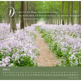 Stimmungsbild zu Weg-Licht-Leben 2026 - Tischkalender