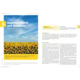 Stimmungsbild zu Das HauskreisMagazin 04/2025