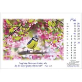 Stimmungsbild zu Die Freude geht mit uns 2026 - Aufstellkalender