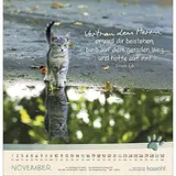 Stimmungsbild zu Katzen-Tatzen 2026 - Wandkalender