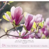 Stimmungsbild zu Blumen-Impressionen 2026 - Wandkalender
