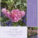 Stimmungsbild zu Rosenduft mit lieben Wünschen 2026 - Postkartenkalender