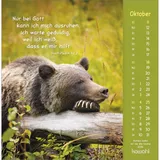 Stimmungsbild zu Gottes Liebe ist wie die Sonne 2026 - Postkartenkalender