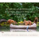 Stimmungsbild zu Du sorgst für mich 2026 - Postkartenkalender