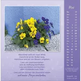 Stimmungsbild zu Gut, dass es dich gibt 2026 - Postkartenkalender