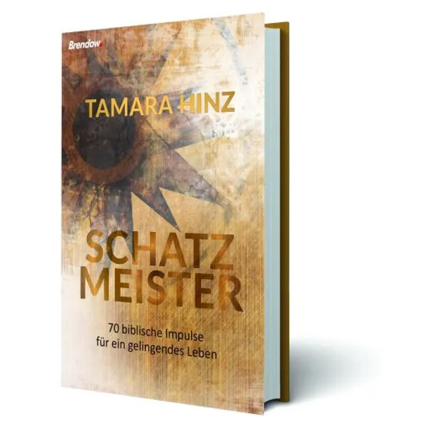 Produktbild des Artikels Schatzmeister (Buch - Gebunden)