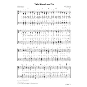 Produktbild des Artikels Viele Kämpfe zur Zeit (Noten - Download)