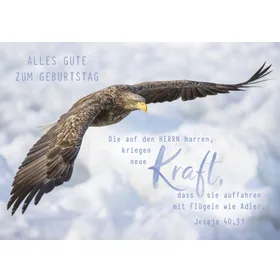 Produktbild des Artikels Faltkarte "Alles Gute zum Geburtstag" - Adler (Schreibwaren)