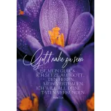 Stimmungsbild zu Karten-Box: Gütig und treu