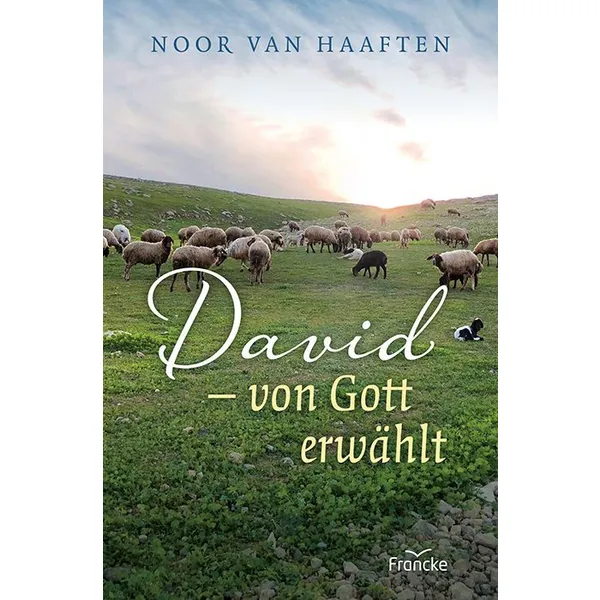 Produktbild des Artikels David - von Gott erwählt (Buch - Paperback)