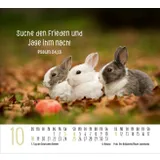 Stimmungsbild zu Begegnungen 2026 - Minikalender