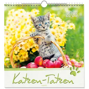 Produktbild des Artikels Katzen-Tatzen 2026 - Wandkalender (Kalender - Spiralbindung)