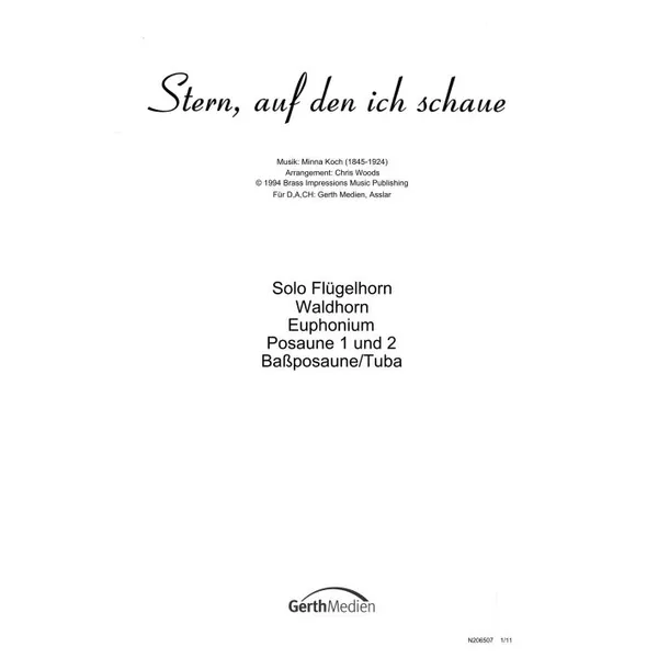 Produktbild des Artikels Stern, auf den ich schaue (Noten - Download)