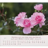 Stimmungsbild zu Rosen 2026 - Tischkalender