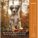 Stimmungsbild zu Gottes Liebe ist wie die Sonne 2026 - Postkartenkalender