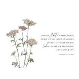 Stimmungsbild zu SegensWünsche