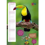 Stimmungsbild zu Der ultracoole KLÄX-Kalender 2026