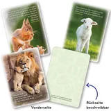 Stimmungsbild zu Karten-Box: Munter und mutig auf deinem Weg