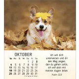 Stimmungsbild zu Meine kleinen Freunde 2026 - Tischkalender