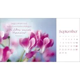 Stimmungsbild zu Augenblicke der Anbetung 2026 - Postkartenkalender