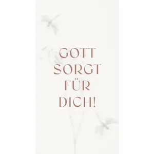 Produktbild des Artikels Metallschild: Gott sorgt für Dich! ()