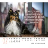 Stimmungsbild zu Hunde 2026 - Minikalender