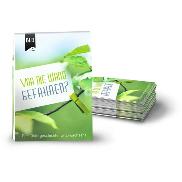 Produktbild des Artikels Vor die Wand gefahren - Flyer (Buch)