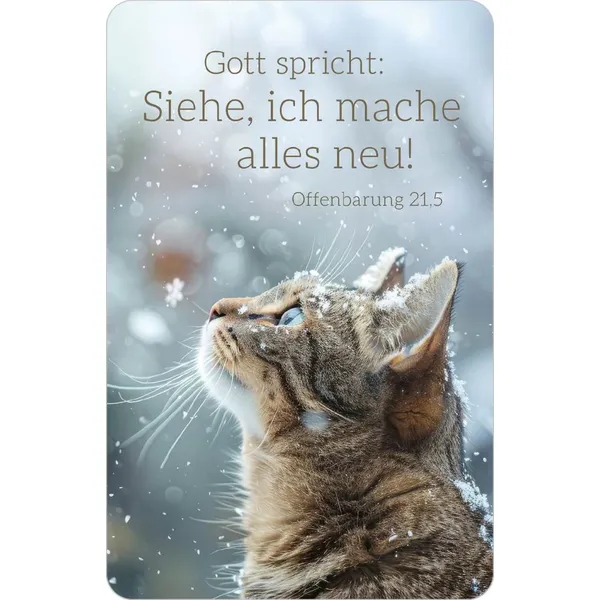 Produktbild des Artikels Jahreslosung 2026 - Kalenderkärtchen Katze (Kalender)