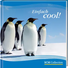 Produktbild des Artikels Einfach cool! (Buch - Gebunden)