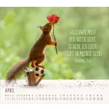 Stimmungsbild zu Du sorgst für mich 2026 - Postkartenkalender