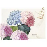 Stimmungsbild zu Postkartenbox "Meisterwerke des Schöpfers"