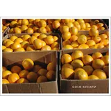 Stimmungsbild zu Postkartenbuch "STERN:STUNDEN"