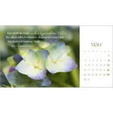 Stimmungsbild zu Augenblicke der Anbetung 2026 - Postkartenkalender