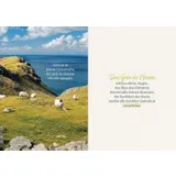 Stimmungsbild zu Gott segne den Weg, auf dem du gehst