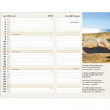 Stimmungsbild zu Agenda 2026