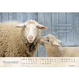 Stimmungsbild zu Der gute Hirte 2026 - Postkartenkalender