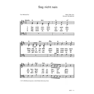 Produktbild des Artikels Sag nicht nein (Noten - Download)