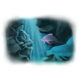 Stimmungsbild zu Fino und die neue Welt