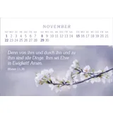 Stimmungsbild zu Das Geschenk der Freude 2026