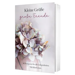 Produktbild des Artikels Kleine Grüße, große Freude – Postkartenset (Schreibwaren - Kartoniert)