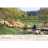 Stimmungsbild zu Der gute Hirte 2026 - Postkartenkalender