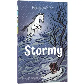 Produktbild des Artikels Stormy (Buch - Paperback)
