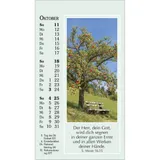 Stimmungsbild zu Sonne des Lebens 2026 - Aufstellkalender